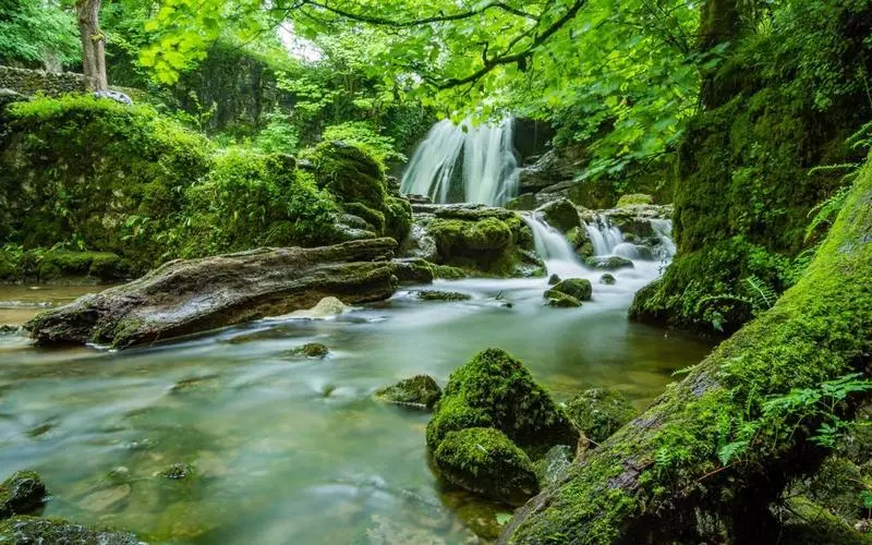 高精度高精度绿色